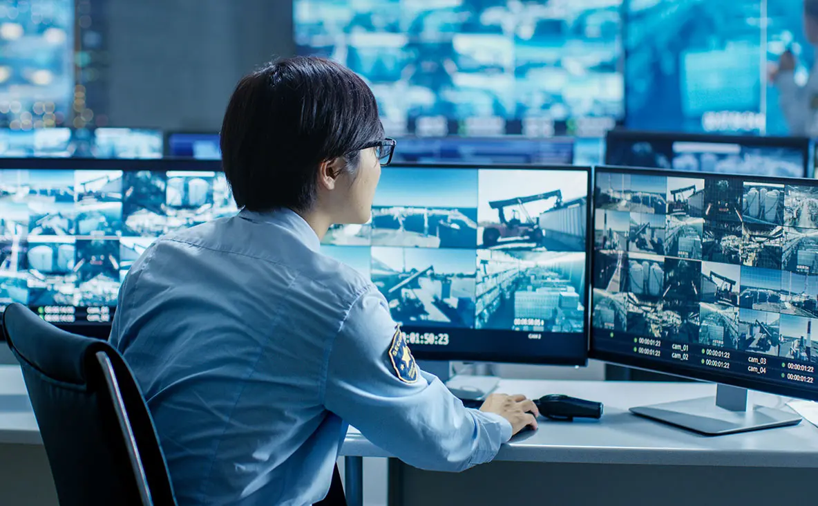 Multiple Interconnection